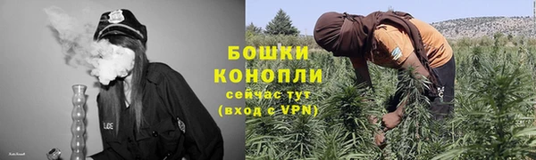 стафф Щигры