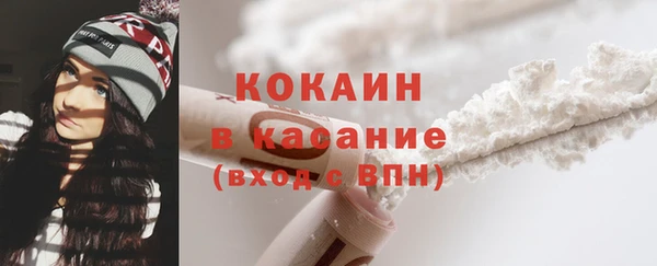 стафф Щигры
