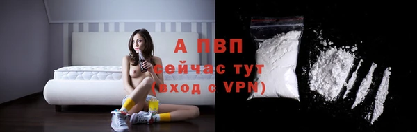 ECSTASY Щучье