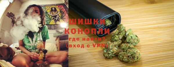 стафф Щигры